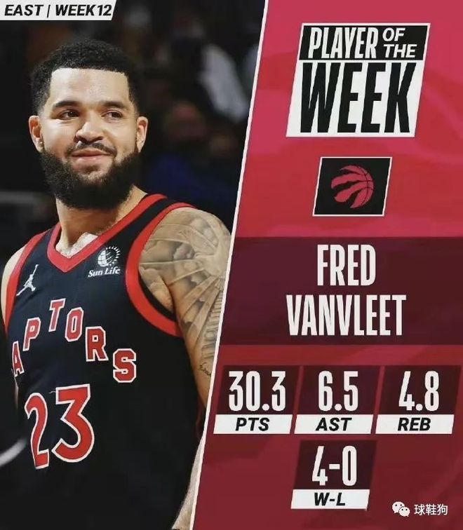 在这篇文章 在这篇文章